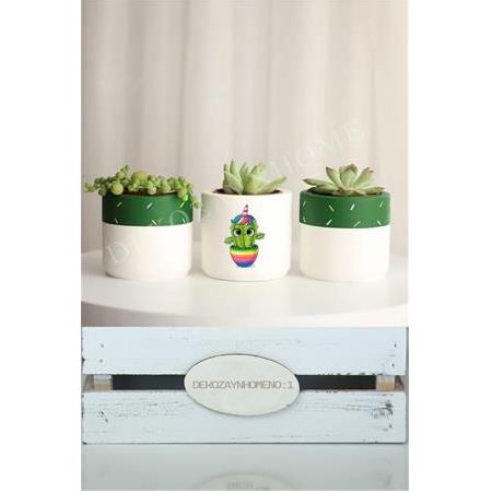Kaktüs Baskılı Renkli Bardaklı 3lü Set