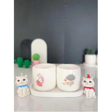 Tabaklı Pastel Kedi + 3 kaktüs + kargo