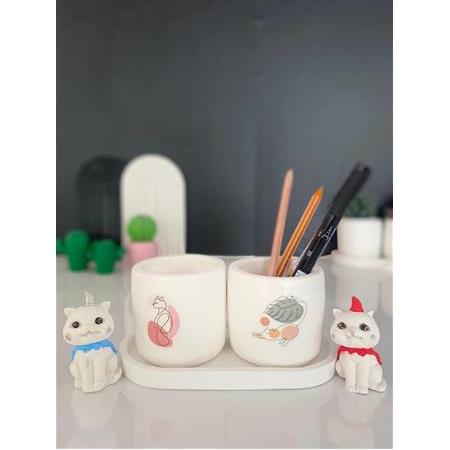Tabaklı Pastel Kedi + 3 kaktüs + kargo