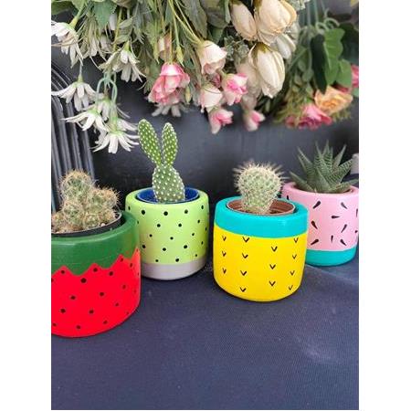 Frutti tatlı Meyve Desenli sukulent ve kaktüs saksısı çiçekler dahil