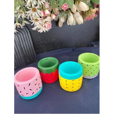 Frutti tatlı Meyve Desenli sukulent ve kaktüs saksısı çiçekler dahil
