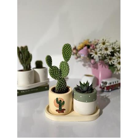 Minimal Modern Kaktüs Desenli Sukulent ve Kaktüs Saksısı Seti