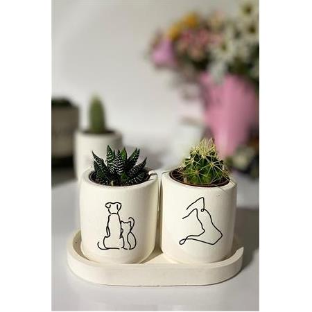 Tabaklı Kedi Köpek Desenli Sukulent ve Kaktüs Saksısı Seti