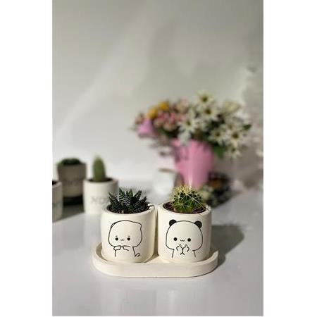 Cute Şirin Desenli Sukulent ve Kaktüs Saksısı Seti