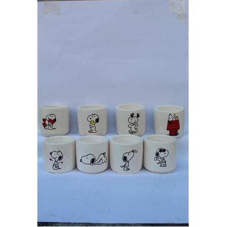 8li Snoopy Desen Sukulent ve Kaktüs Saksısı Seti