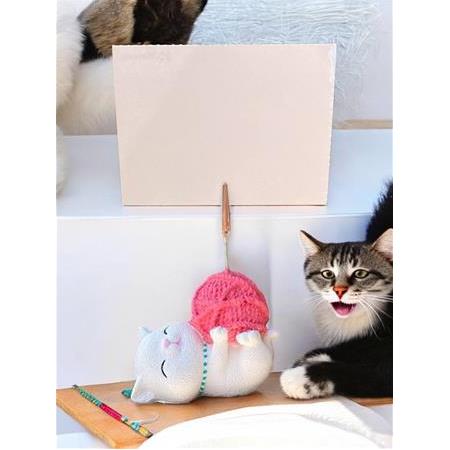 Tatlı Pembe Kawaii Yumaklı Kedi Fotoğraf Not Tutacak Ofis Masası Not Tutacağı