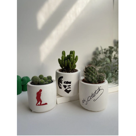 3lü Atatürk Desenli Kaktüs ve Sukulent Saksı Seti Hediyelik Kalemlik Organizer (çiçekler dahildir)