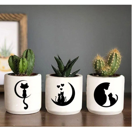 Ayda ki Kedi Desenli Kaktüs ve Sukulent Saksı Seti Hediyelik Kalemlik Organizer (çiçekler dahildir)