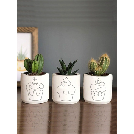 Cupcake Desenli Kaktüs ve Sukulent Saksı Seti Hediyelik Kalemlik (çiçekler dahildir)