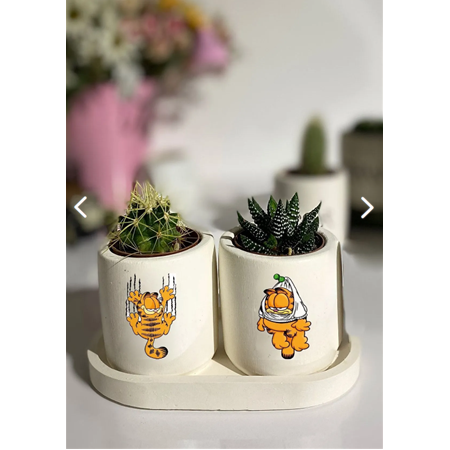 Garfield Desenli Kaktüs ve Sukulent Saksı Seti Hediyelik Kalemlik (çiçekler dahildir)