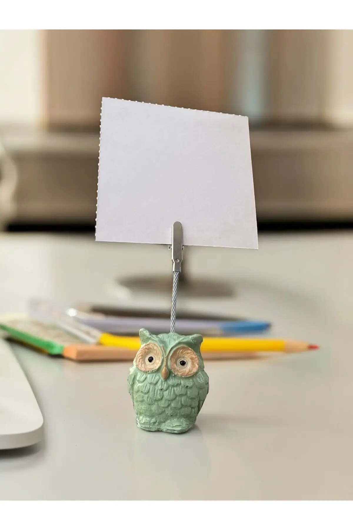 Baykuş Temalı Yeşil Kawaii Fotoğraf Not tutucu - 1. görsel