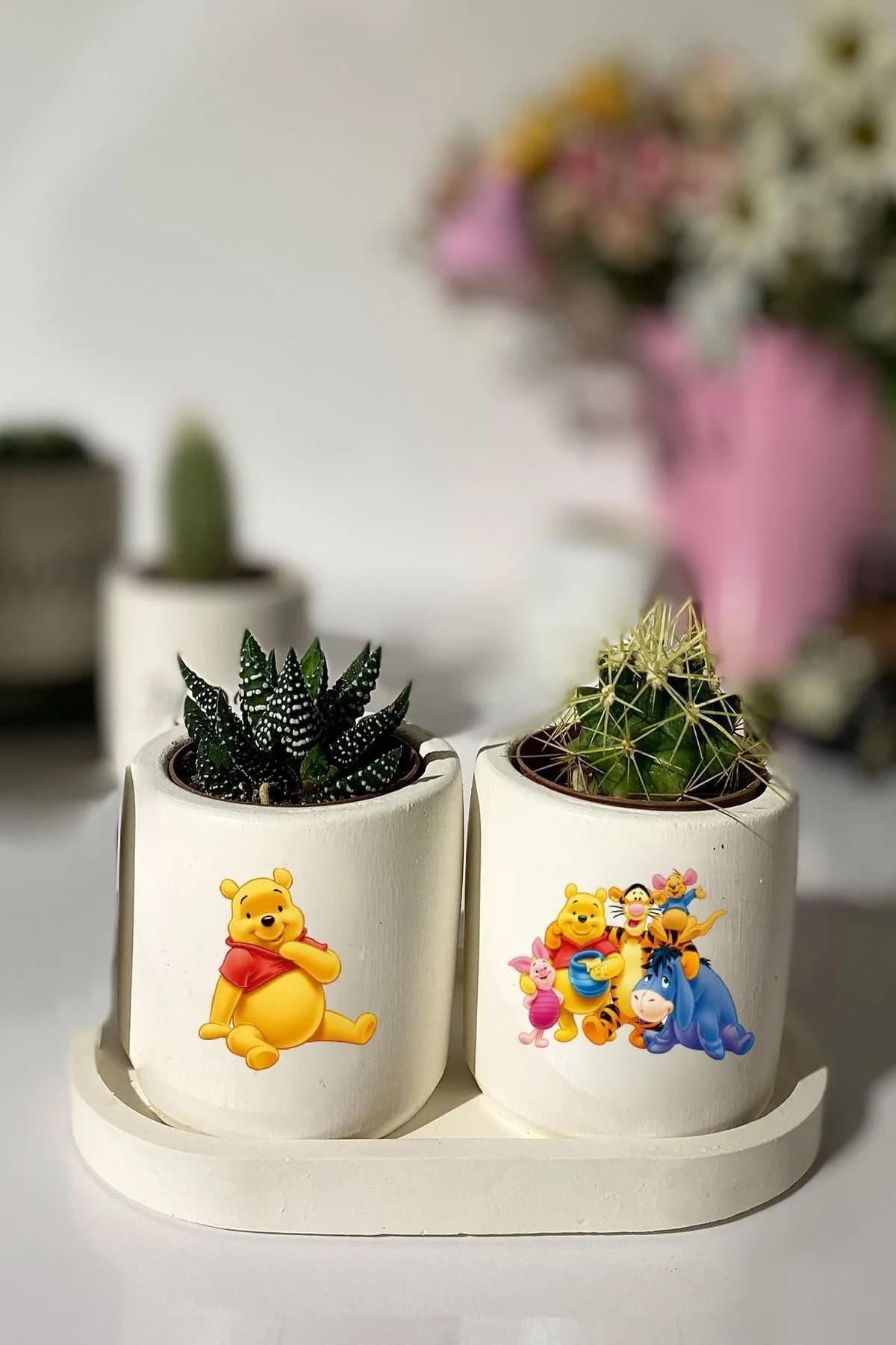 Tabaklı Tiger Honey Baskılı Mini Saksı Seti Hediyelik Dekoratif (ÇİÇEKLİ) - 1. görsel