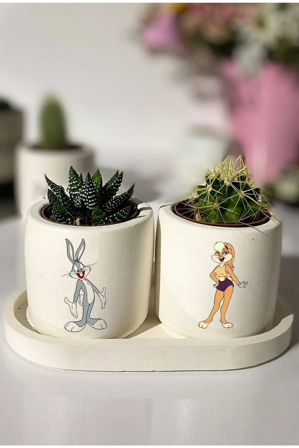 Tavşan Buggs Bunny Baskılı Sukulent Kaktüs Saksı Seti Hediyelik - 1. görsel