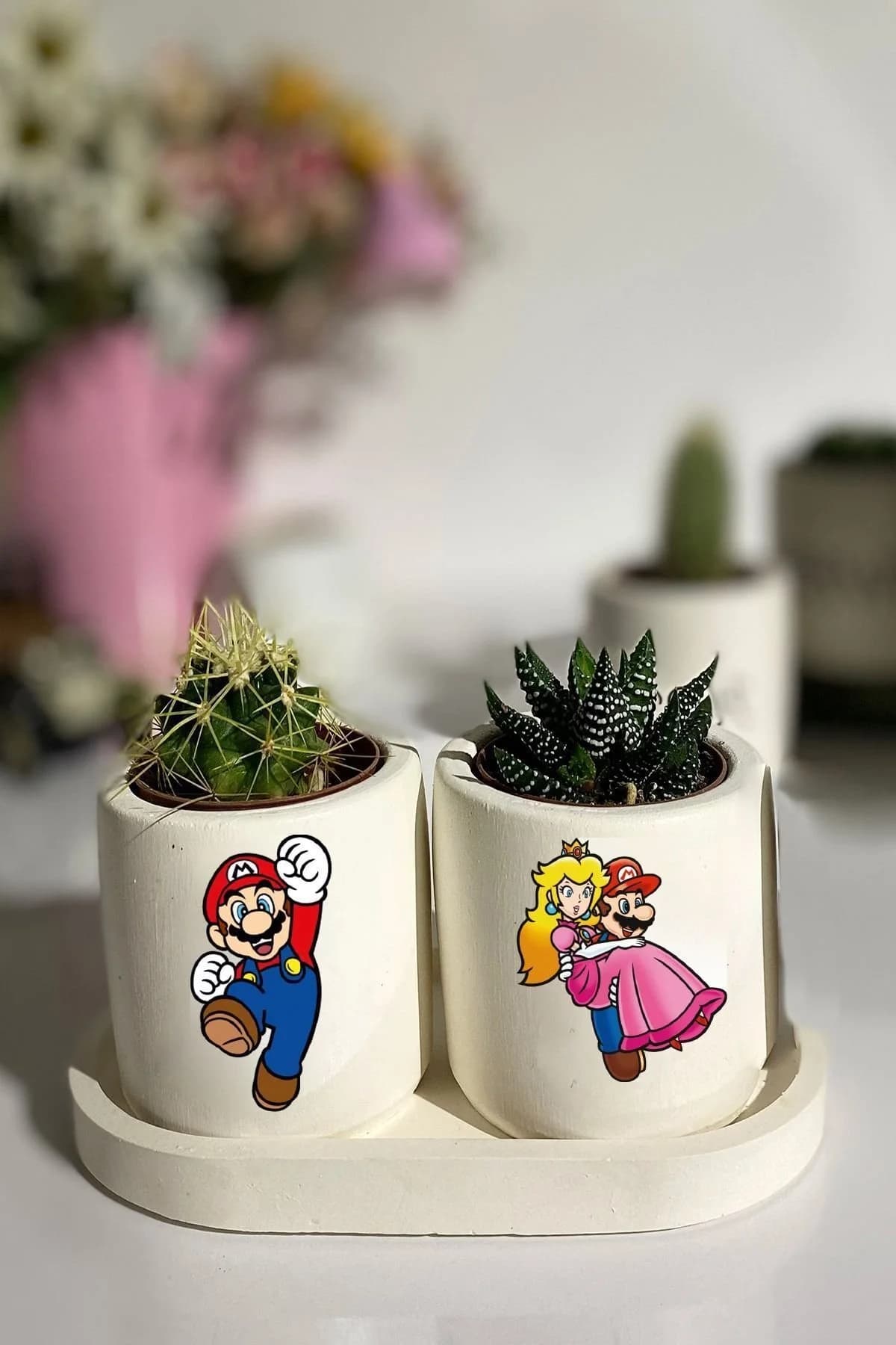 Tabaklı Super Mario Baskılı Mini Saksı Seti Hediyelik Dekoratif - 1. görsel