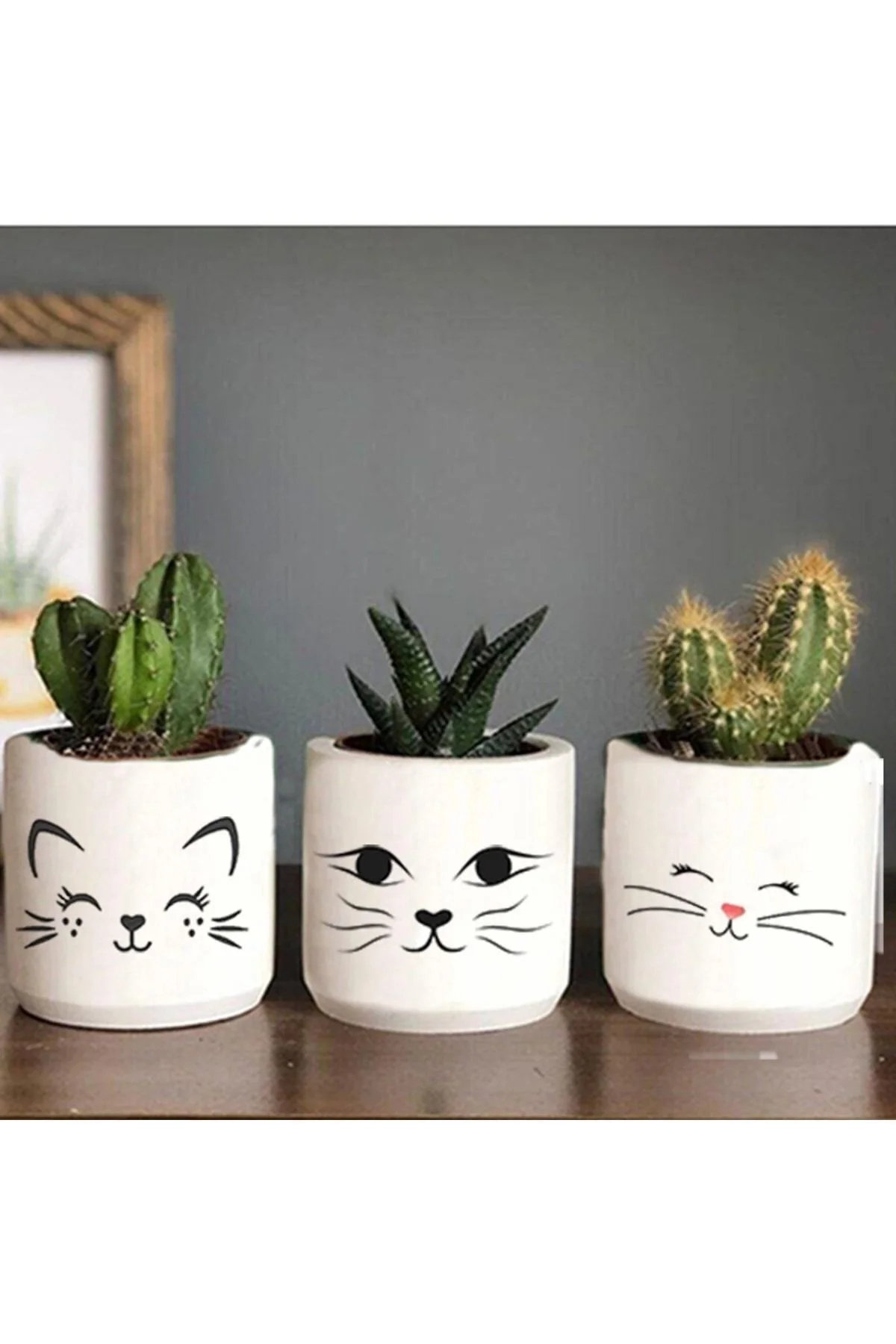 Kedi Yüzü Desenli Beton Saksı Üçlü Set- Küçük Boy Sukulent Saksısı Çizim Kedicik - 1. görsel