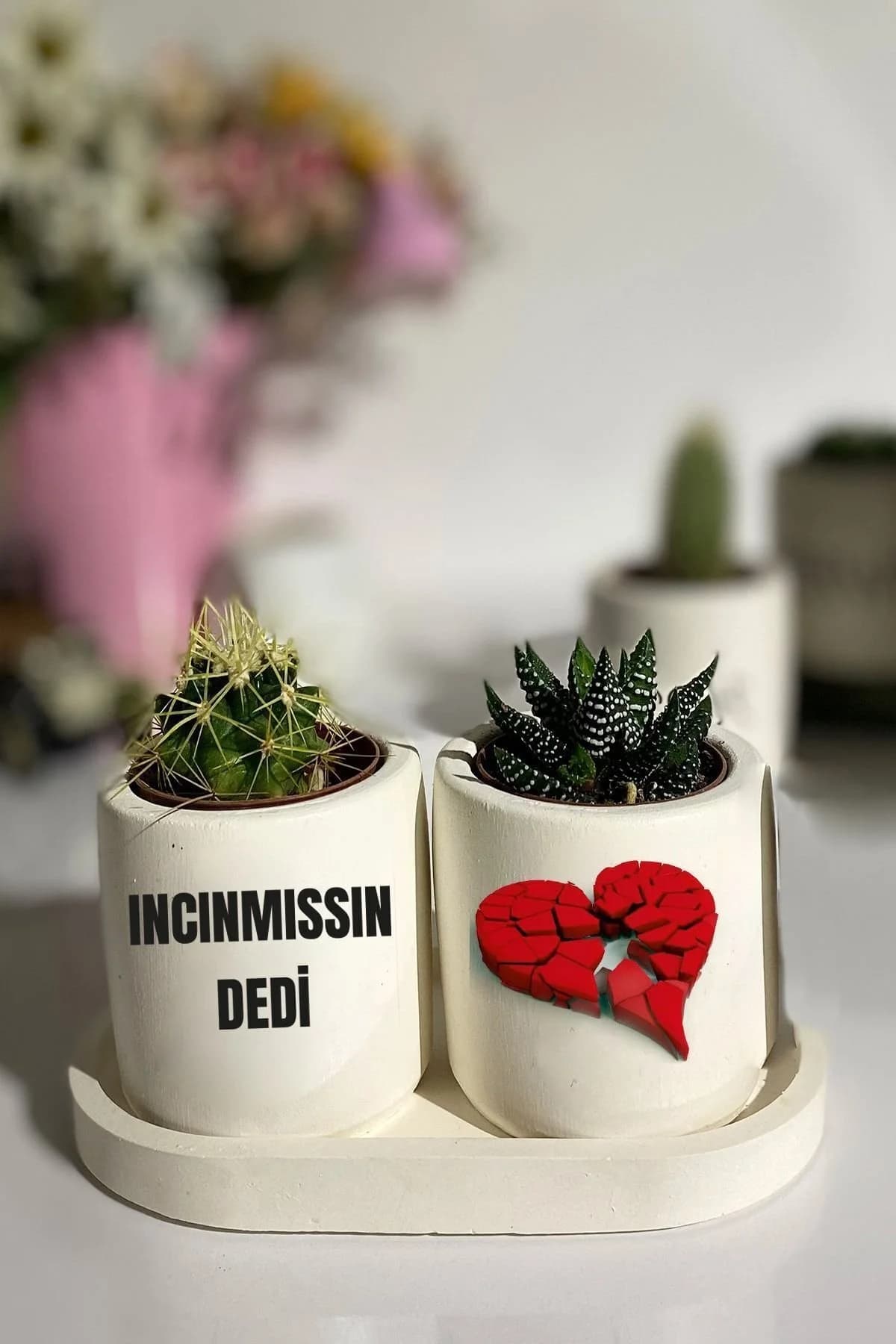Tabaklı Incinmişsin Dedi Baskılı Mini Saksı Seti Hediyelik Dekoratif (ÇİÇEKLİ) - 1. görsel