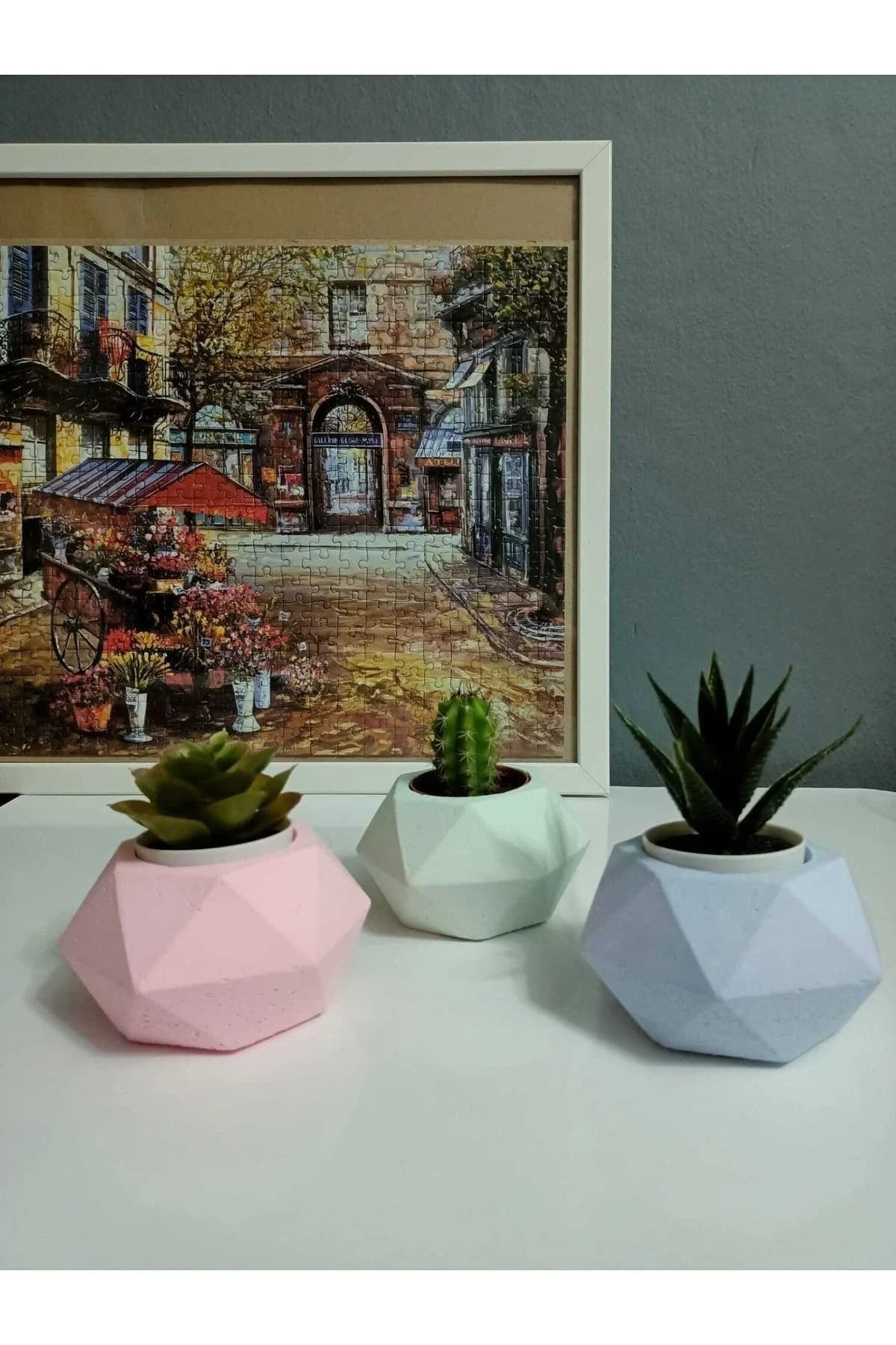 Sukulent Ve Kaktüs Saksı Seti Geometrik Şekilli - 1. görsel