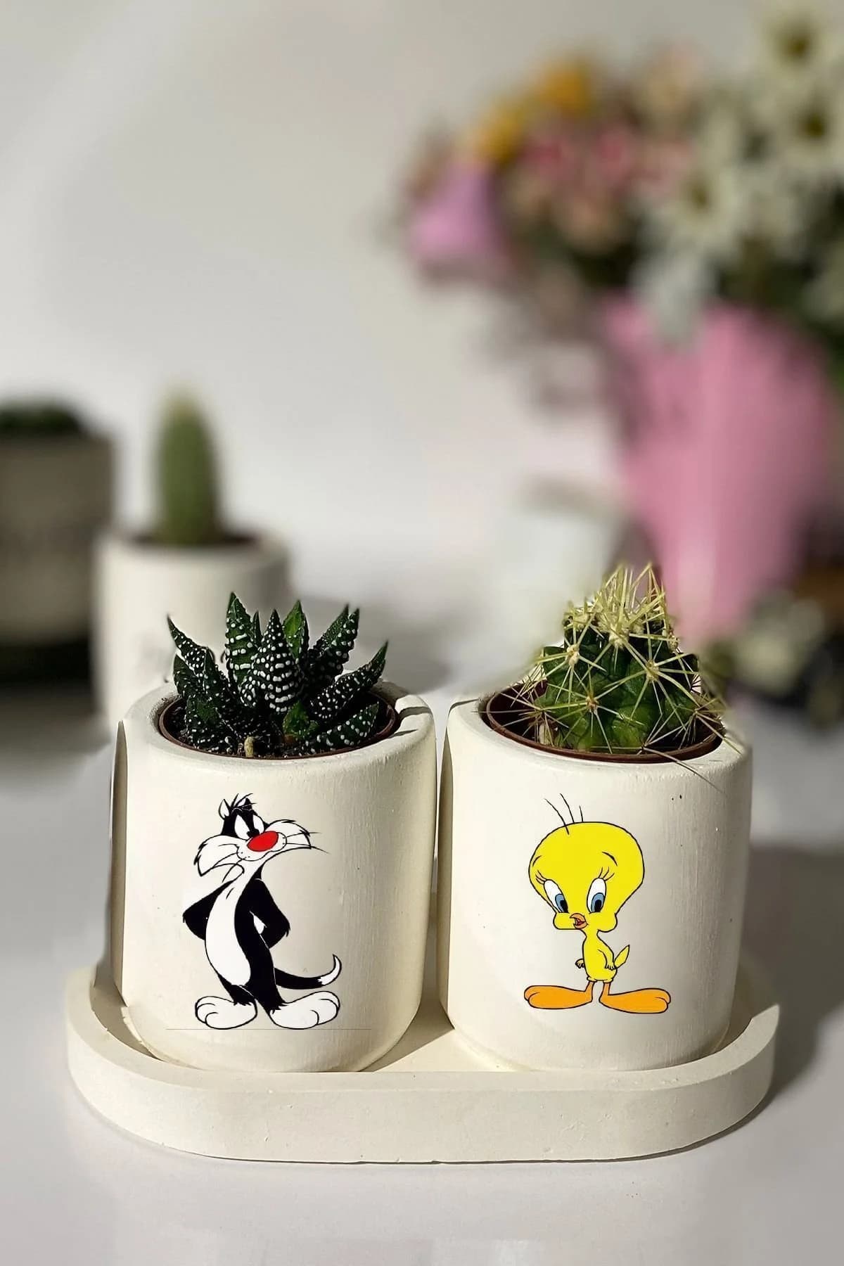 Tabaklı Tweety Baskılı Mini Saksı Seti Hediyelik Dekoratif - 1. görsel