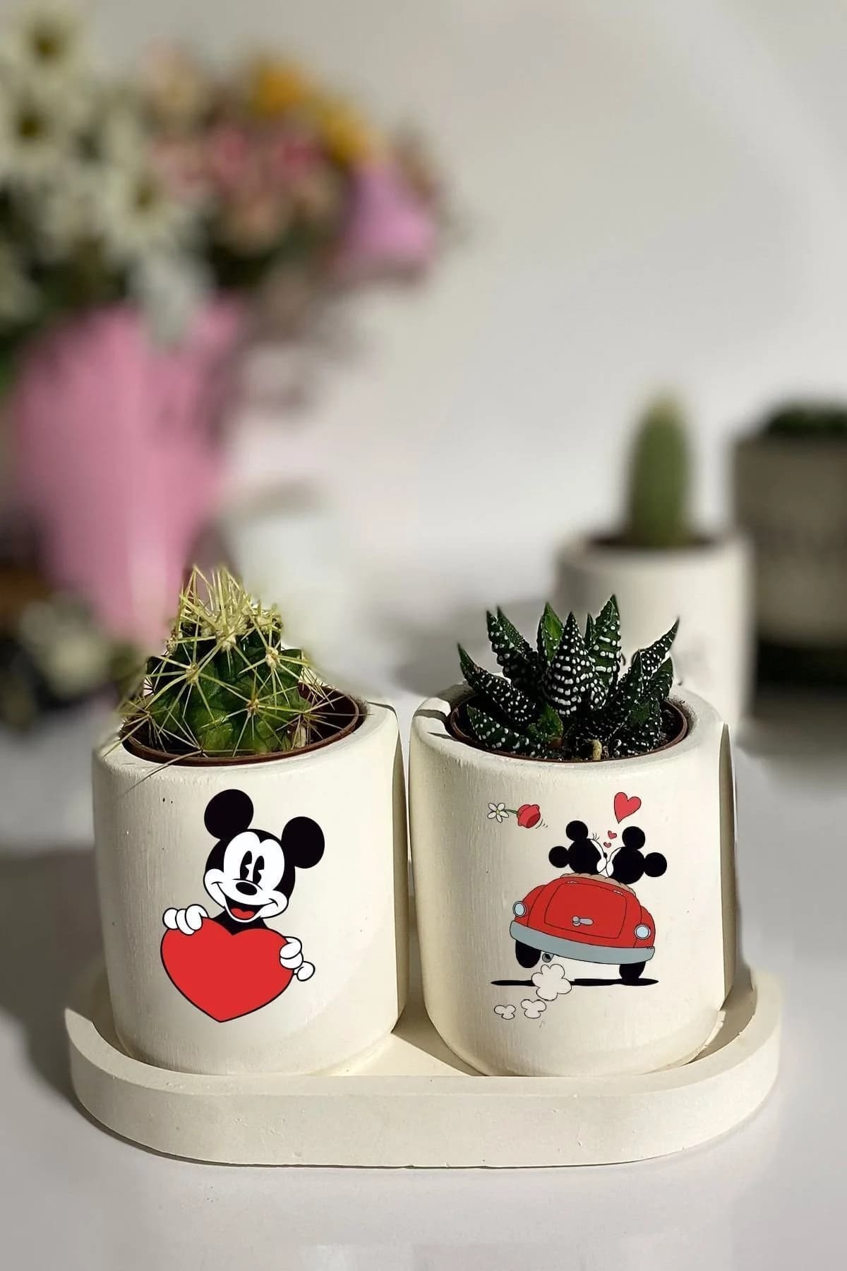 Tabaklı Mickey Mouse Baskılı Mini Saksı Seti Hediyelik Dekoratif - 1. görsel
