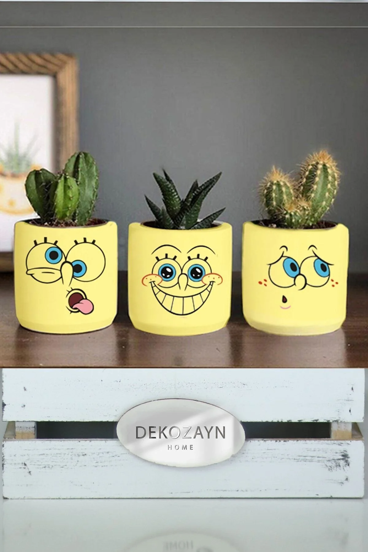 Sunger Bob Sponge Trol Desenli Saksı Üçlü Set- Küçük Boy Sukulent Kalemlik Hediyelik - 1. görsel