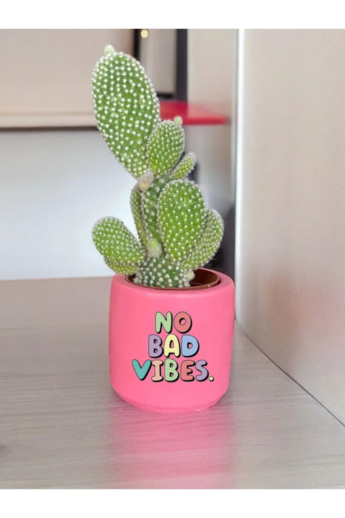 No Bad Vibes Temalı Özel El Yapımı Hediye Saksı (çiçeksiz) model 121 - 1. görsel