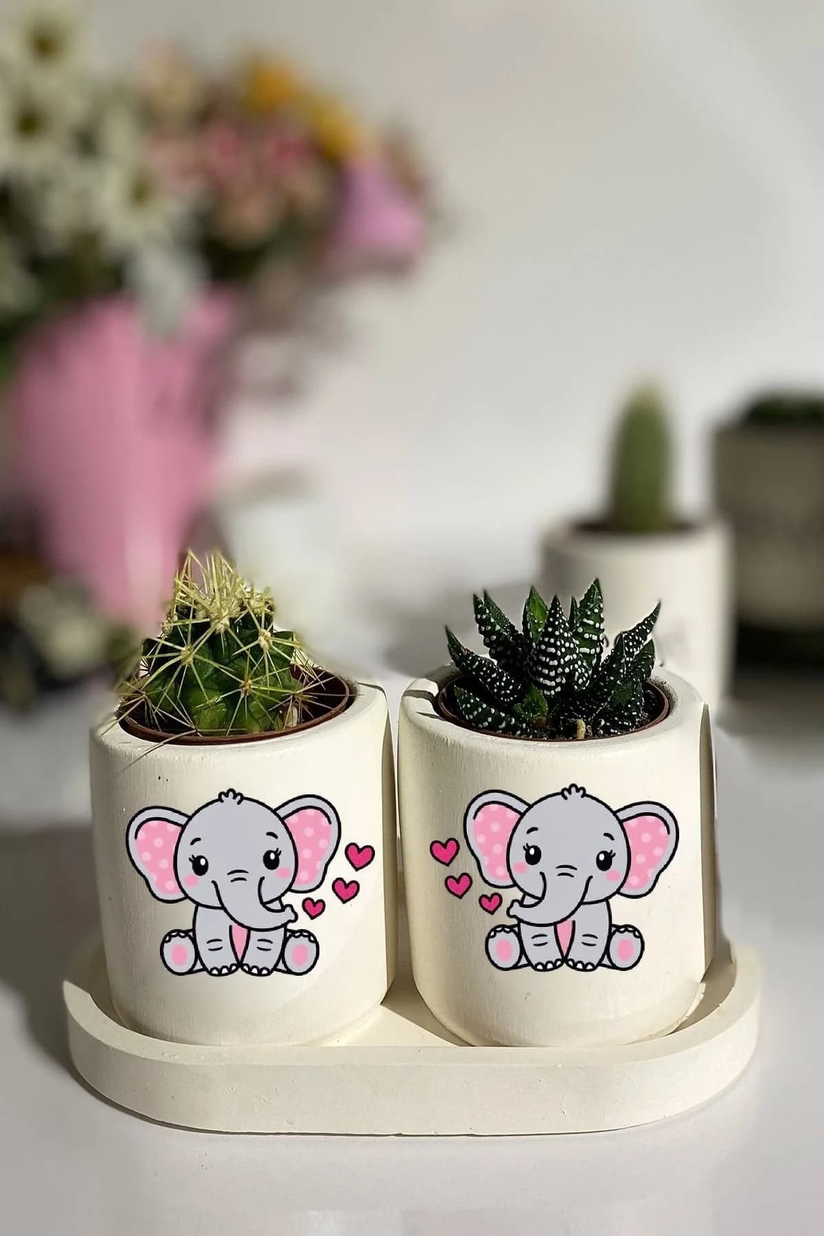 Tabaklı Fil Baskılı Mini Saksı Seti Hediyelik Dekoratif - 1. görsel