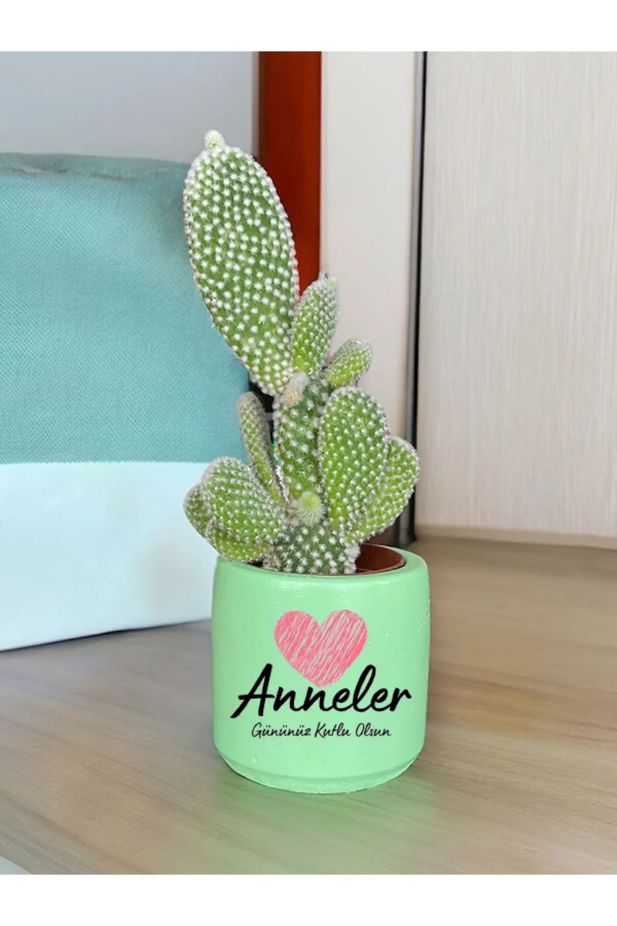 Anneler Gününüz Kutlu Olsun Temalı Anneye ve Eşe Özel Yapım Hediye Saksı - 1. görsel