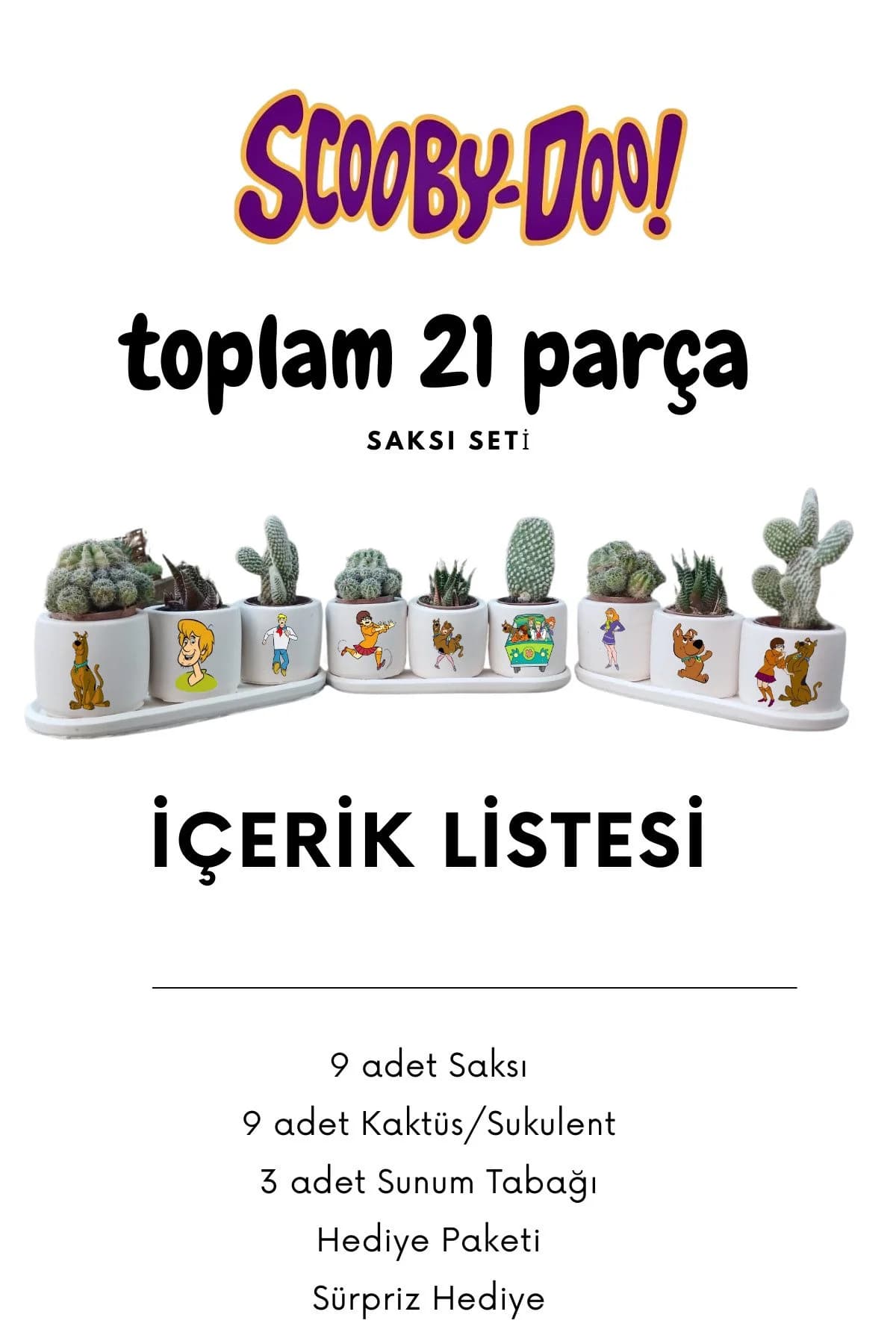 Scooby Doo Temalı 21 parça Saksı Seti Hediyelik Beton Saksı Seti - 1. görsel