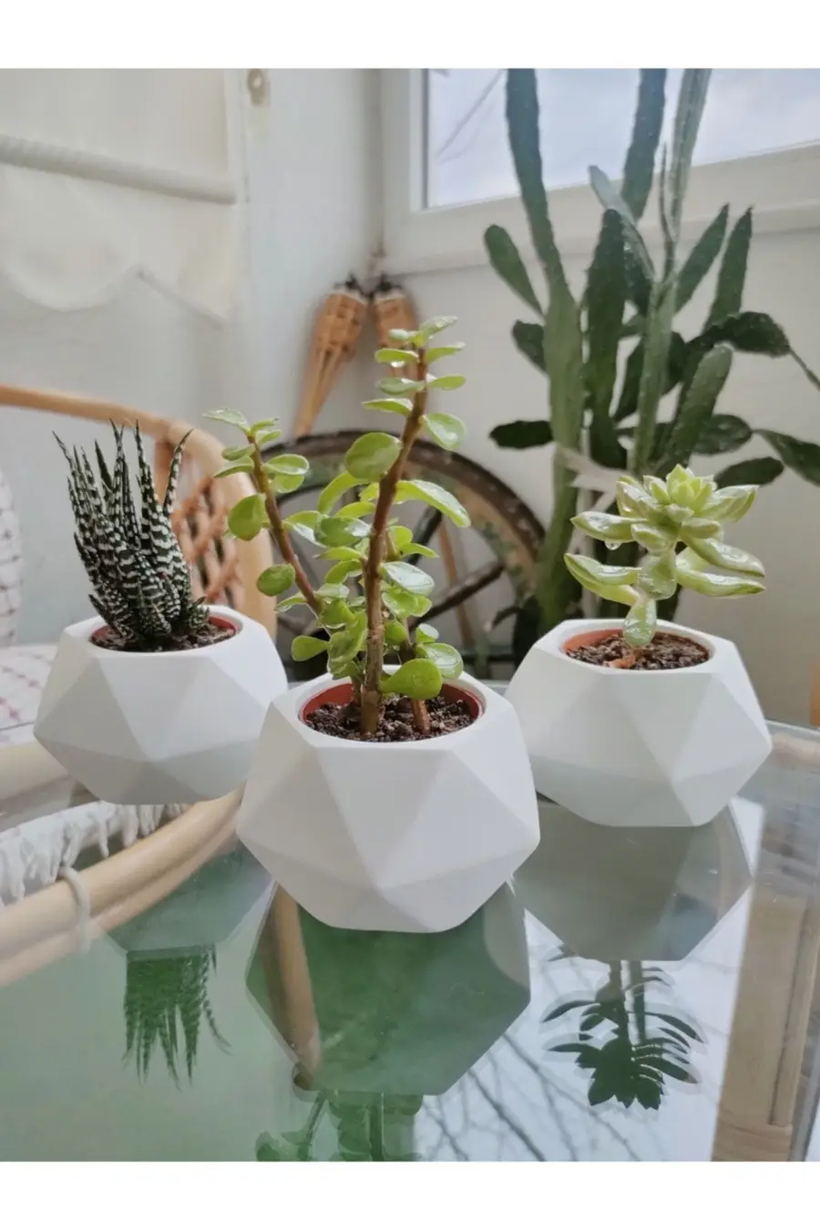 3'lü Dekoratif Geometrik Saksı - 1. görsel
