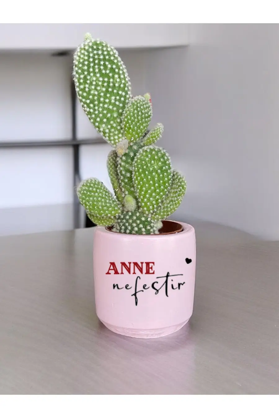 Anne Nefestir Temalı Anneler Günü Anneye ve Eşe Özel El Yapımı Hediye Saksı (çiçeksiz) model 15 - 1. görsel