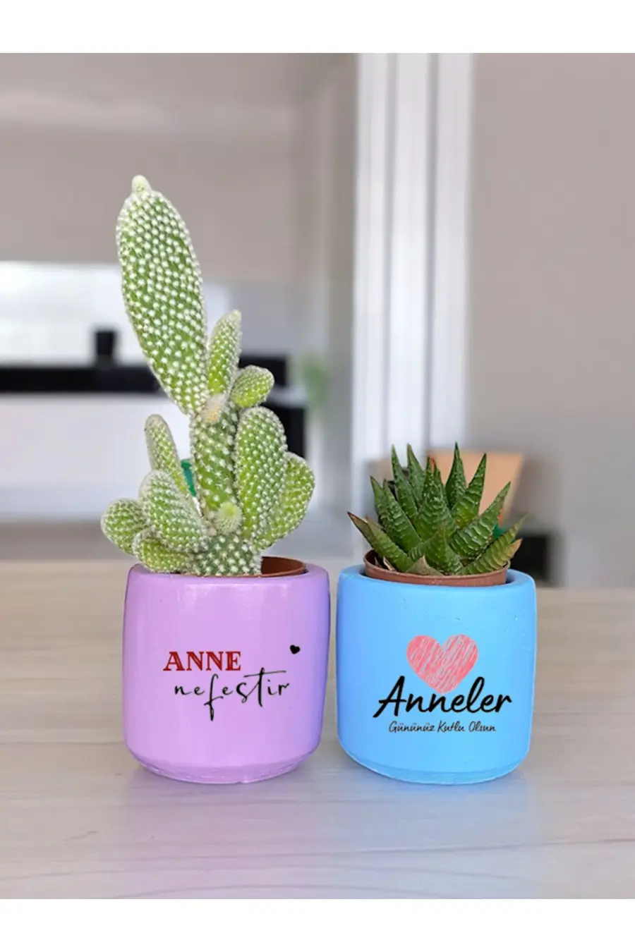 Anneler Günü Anneye ve Eşe Özel El Yapımı Hediye Saksı (çiçeksiz) model 2 - 1. görsel