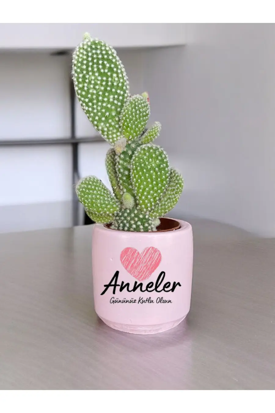 Anneler Gününüz Kutlu Olsun Temalı Anneye ve Eşe Özel Yapım Hediye Saksı - 1. görsel
