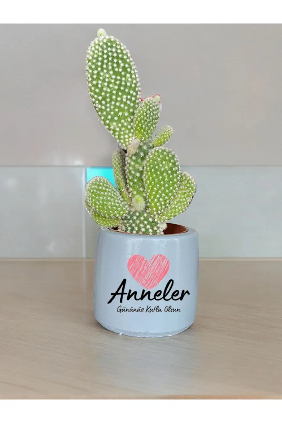 Anneler Gününüz Kutlu Olsun Temalı Anneye ve Eşe Özel Yapım Hediye Saksı - 1. görsel