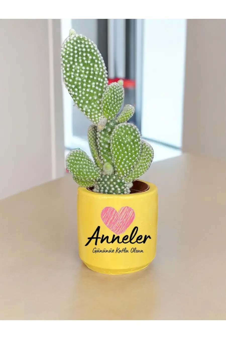 Anneler Gününüz Kutlu Olsun Temalı Anneye ve Eşe Özel Yapım Hediye Saksı - 1. görsel