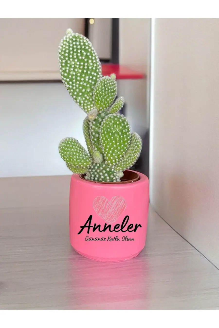 Anneler Gününüz Kutlu Olsun Temalı Anneye ve Eşe Özel Yapım Hediye Saksı - 1. görsel