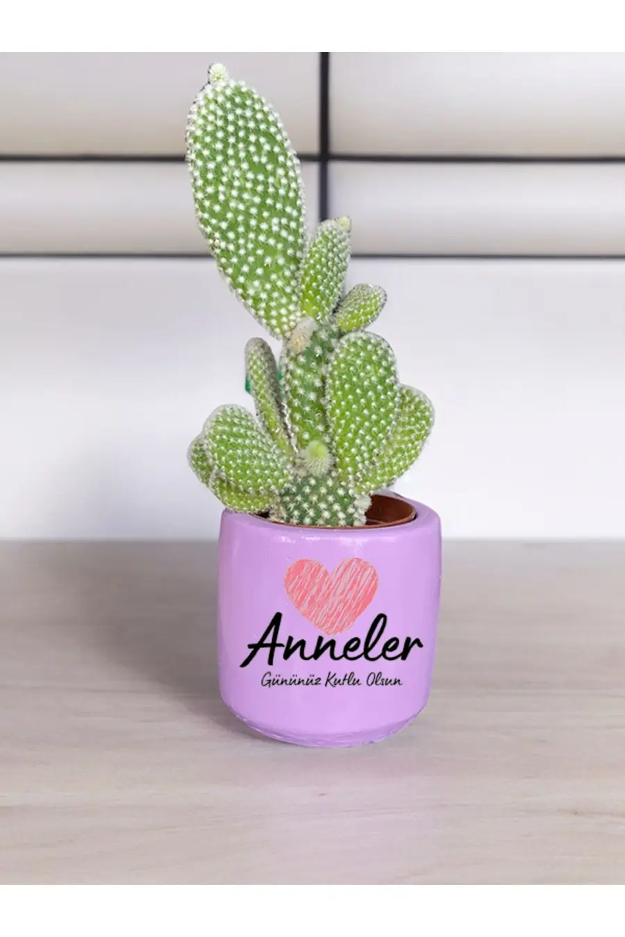 Anneler Gününüz Kutlu Olsun Temalı Anneye ve Eşe Özel Yapım Hediye Saksı - 1. görsel