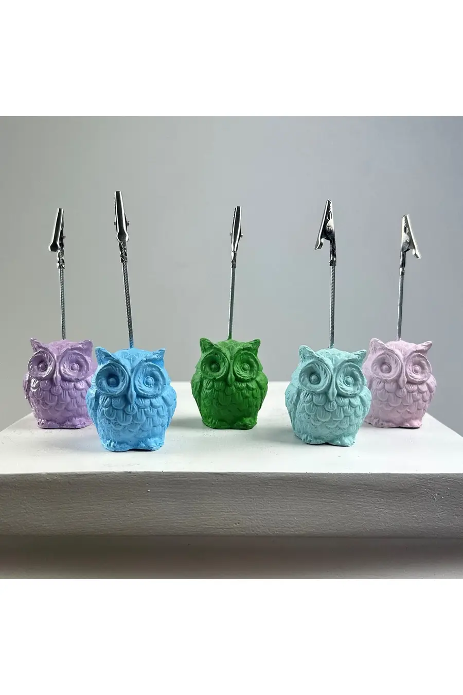 Baykuş Not Tutucu 5'li Set (açık Mavi - Nane - Pembe - Yeşil - Lila) - 1. görsel