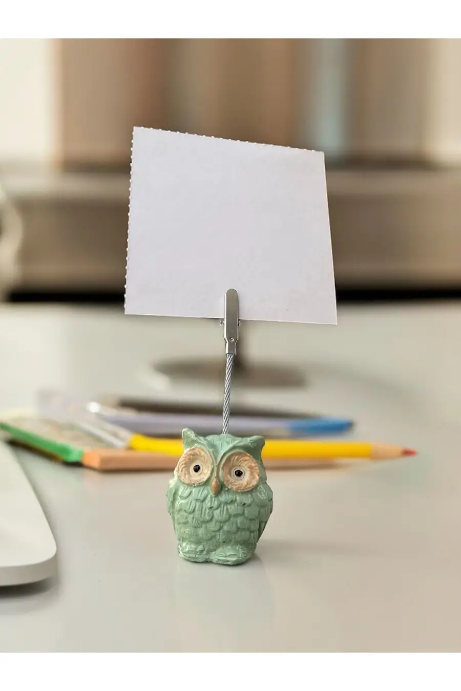 Baykuş Temalı Yeşil Kawaii Fotoğraf Not tutucu - 1. görsel