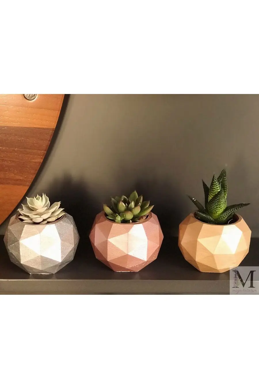Beton Saksılık Kaktüs Ve Sukulentlik 3'lü Set - model 65 - 1. görsel