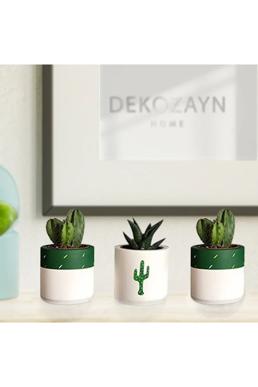 Bitki Dahil Kaktüs Desenli Beton Saksı 3'lü Set- Küçük Boy Sukulent - 1. görsel
