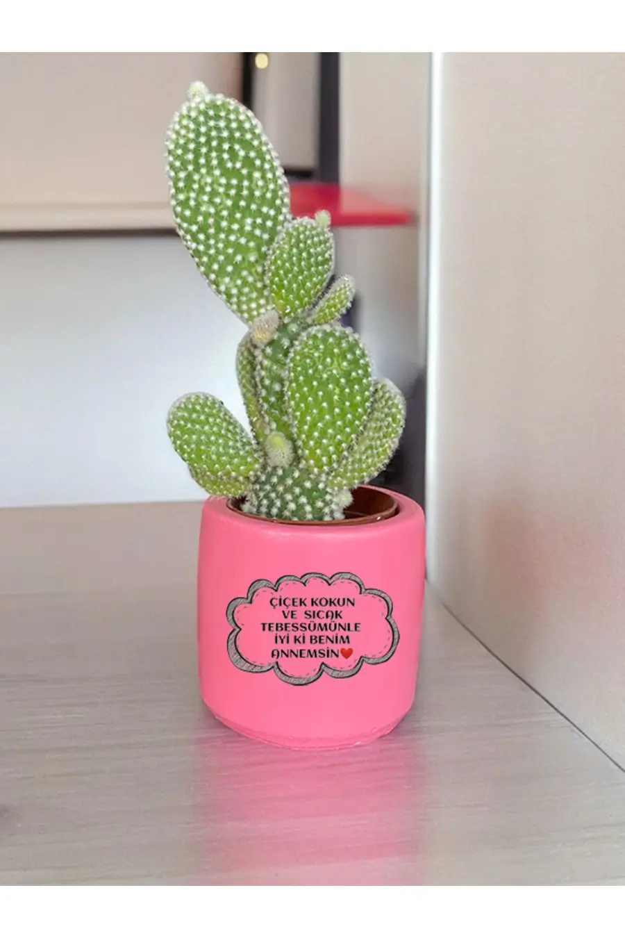 Çiçek Kokulu Annem Temalı Anneler Günü Anneye ve Eşe Özel El Yapımı Hediye Saksı (çiçeksiz) model 84 - 1. görsel