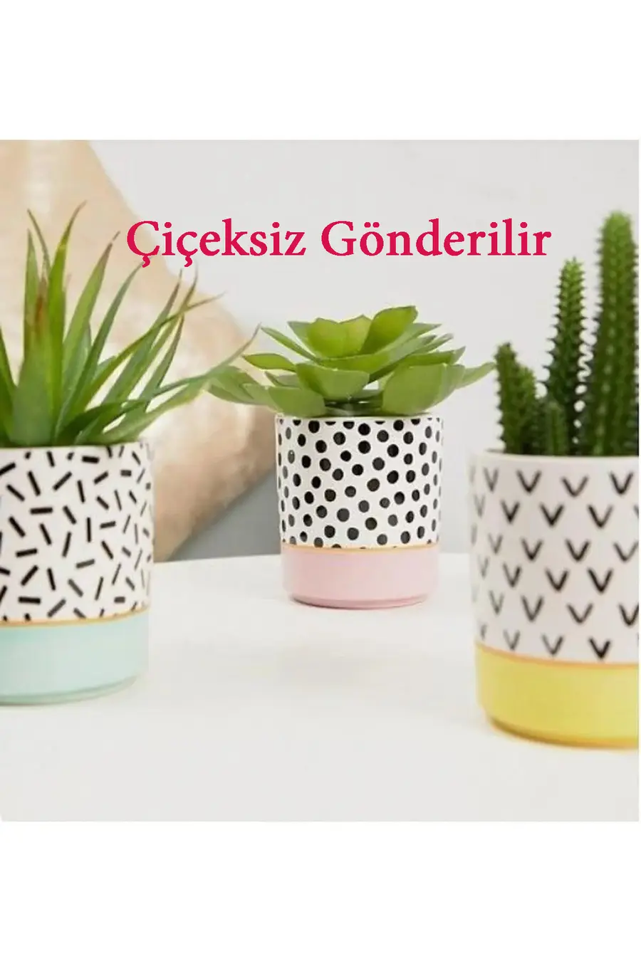Dekobet10 3lü Trix Kaktüs/skulent Saksısı Yada Organizer - 1. görsel