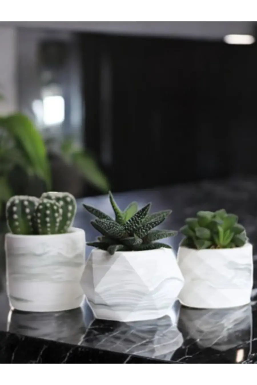 Dökümden Mermer Desenli Beton Saksı Üçlü Set Kaktüs & Sukulent Saksısı Küçük Boy - 1. görsel