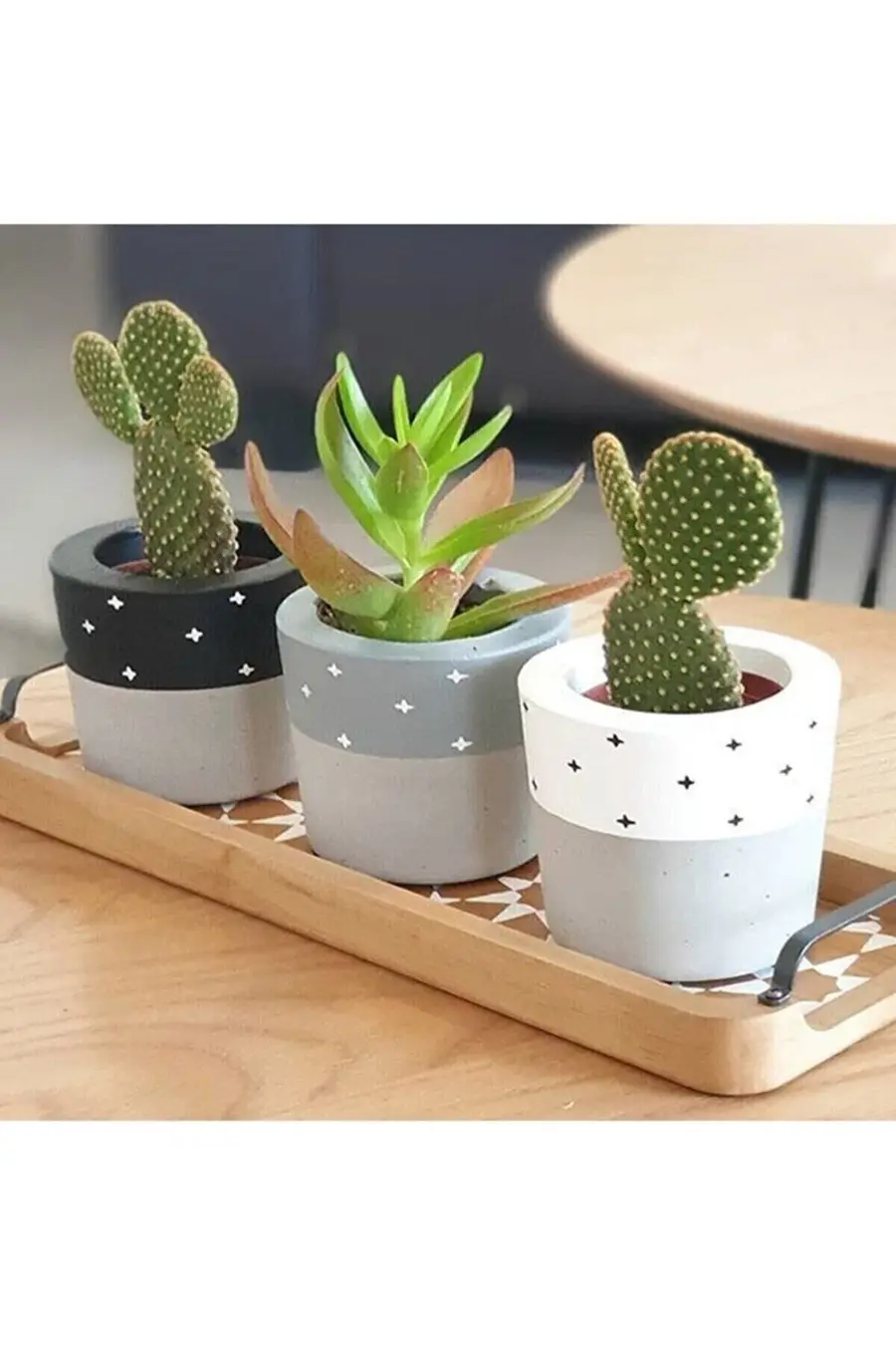 Hediyelik Beton Saksı Seti – Sukulent– Kaktüs– Dekoratif Eşya- Ev Dekerasyon - Saksı Seti - 1. görsel