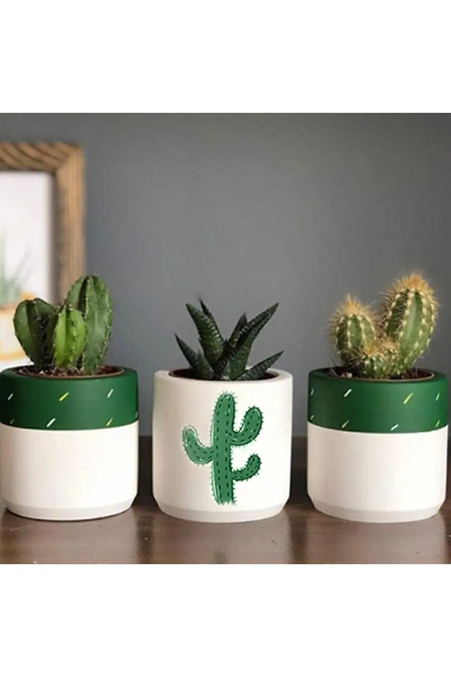 Kaktüs Desenli Saksı Üçlü Set (BİTKİSİZ)- Küçük Boy Sukulent Saksısı Çizim Kaktüs - 1. görsel