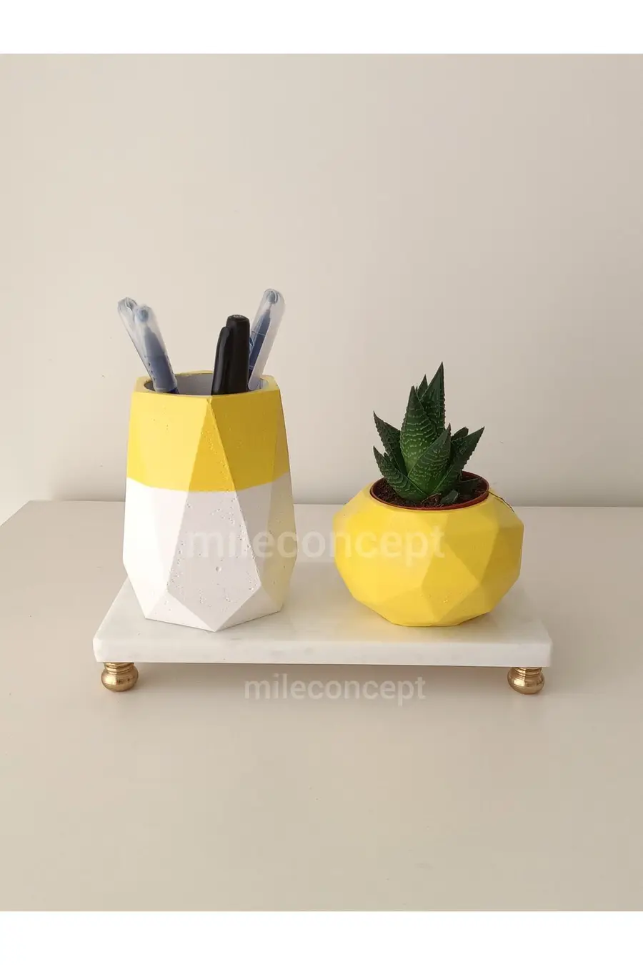 Masaüstü Dekoratif Beton Kalemlik, Saksı, Sukulent/kaktüs Seti - 1. görsel