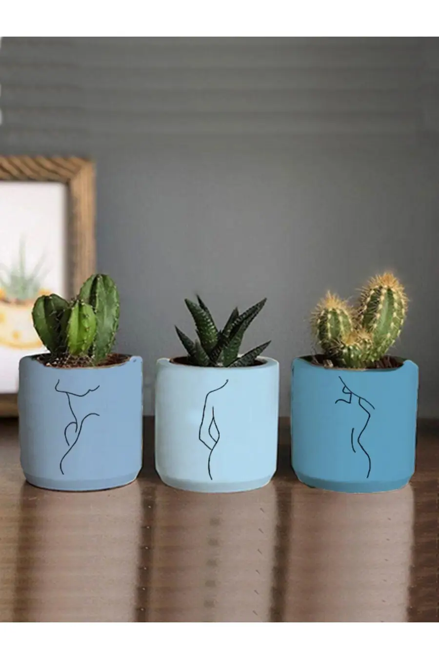 Minimalist Kadın Çizimli 3lü Set Kaktüs Ve Sukulent Saksısı Hediyelik - 1. görsel