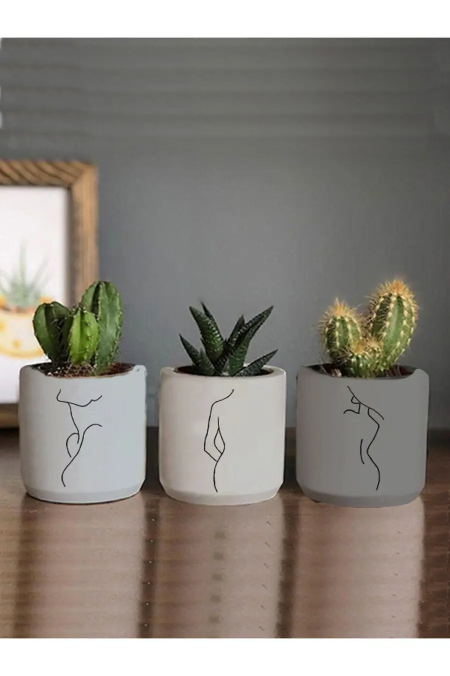 Minimalist Kadın Çizimli 3lü Set Kaktüs Ve Sukulent Saksısı Hediyelik (ÇİÇEKSİZ) - 1. görsel