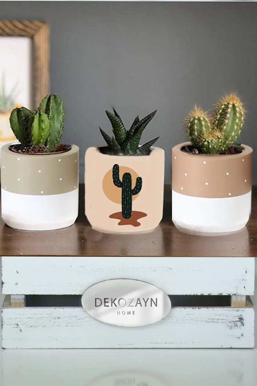 Modern Kaktüs Pastel Renkli Sukulent Ve Kaktüs Saksısı - 1. görsel