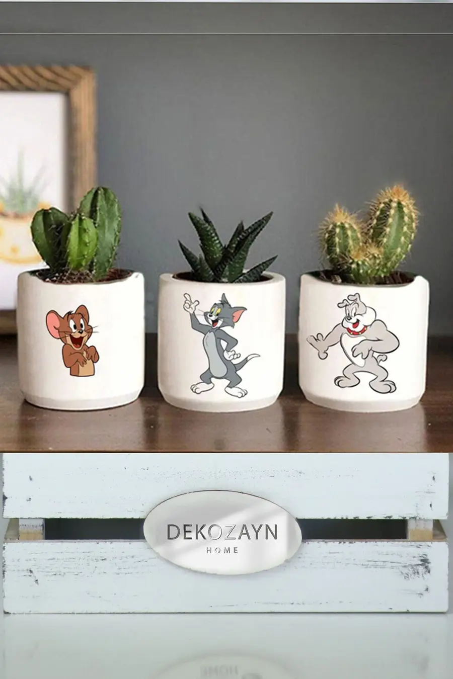 Modern Tom Ve Jerry El Çizimi Renkli Sukulent Ve Kaktüs Saksısı - 1. görsel